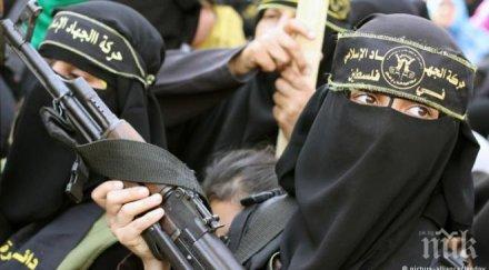 успокоение очакват терористични удари ислямска държава балканите