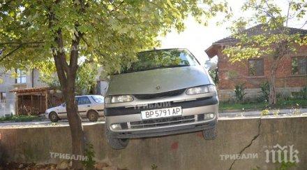 куриоз мъртво пиян заспа волана паркира въздуха снимки