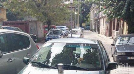 вендета заляха блажна боя голфа педагогически съветник снимки