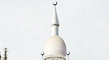 вмро направи гавра български символ