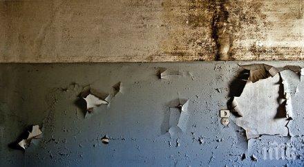 първо пик час пик мухъл мутант трови панелките плесента еволюирала грипа тръшка алергии мигрена