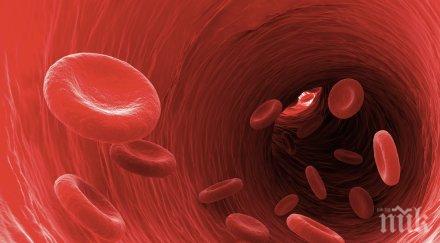стволови клетки заместват тъкани