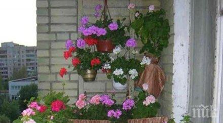 крадла обра баба докато береше цветя