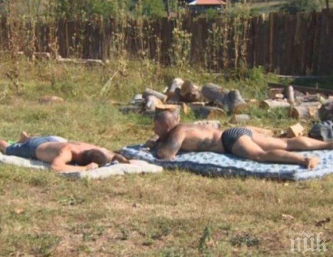 Варсамов се изпружи на слънцето, докато другите бачкат
