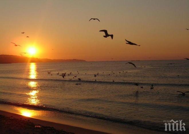 Синоптици вещаят слънчев и топъл уикенд - от другата седмица пороите се завръщат, а градусите падат