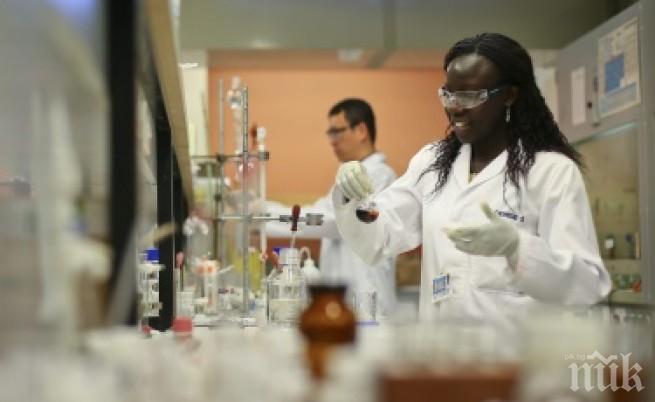 Изследователи създават изкуствени клетки, които се възпроизвеждат
