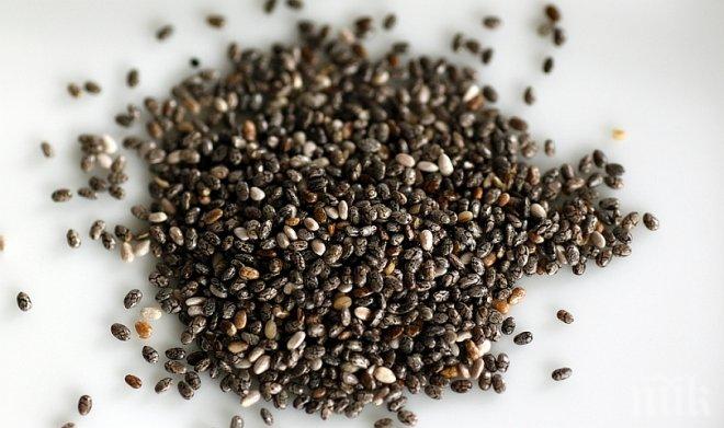 ДФЗ приема документи за кредит за семена и торове