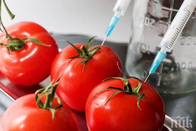 МЗХ: България продължава да бъде страна, в която са забранени ГМО културите