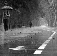 Обилни валежи стряскат жителите на Кърджали