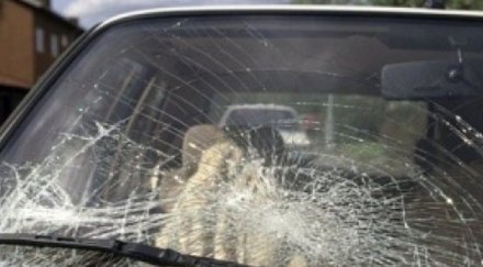 депутатски син катастрофира лед заби спирка