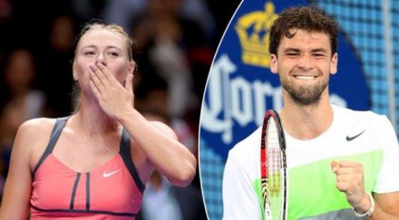 любовта гришо направи маша звяр корта