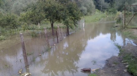 кметът неделино моли бойко хеликоптер