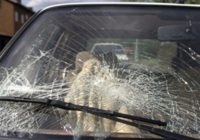 Депутатски син катастрофира на лед, заби се в спирка