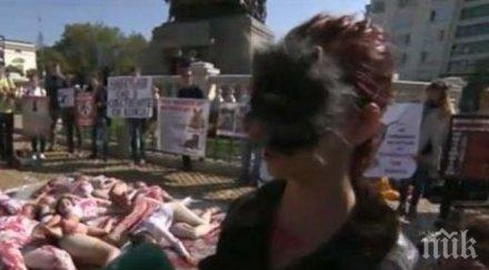 природозащитници направиха кървав протест парламента снимки