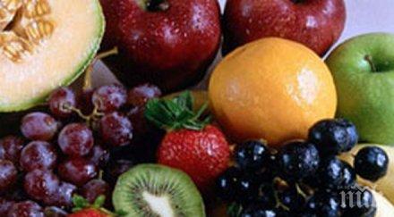 пик плодовете златната есен представиха площада кюстендил