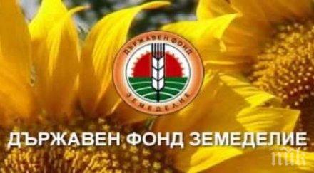 дфз подпомага 000 животновъди