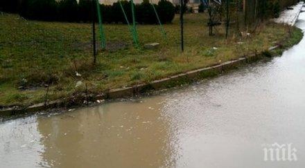 щети 000 лева домовете хората унищожени десетки декари зеленчуци наводнение