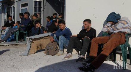 правозащитна организация пак критикува българия заради бежанците
