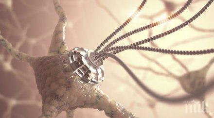 учен 2030 изпращаме електронни писма снимки директно мозъците