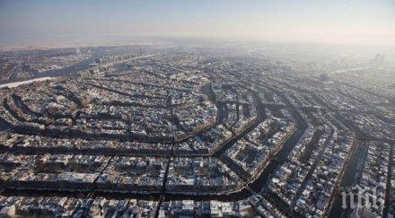 публичните домове амстердам българският задължителен