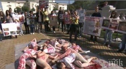 пик насилието животни изкара защитници протест