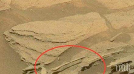 водата марс пълни олимпийски басейна