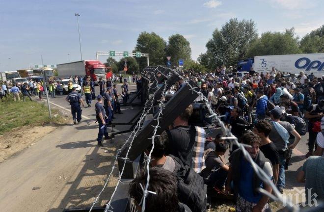 31 мигранти са намерени в хладилен камион във Франция