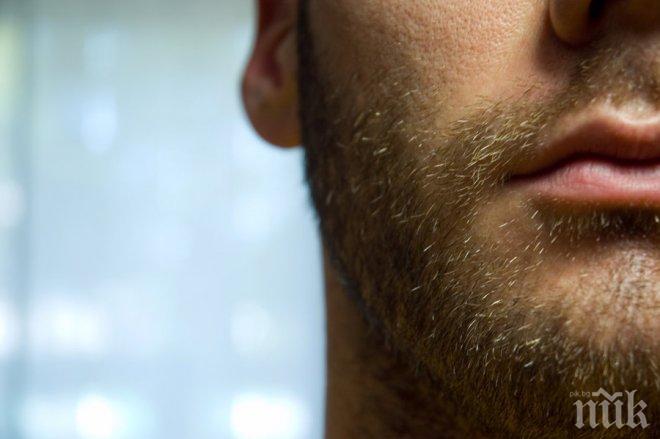 Британците харчат хиляди за присаждане на брада