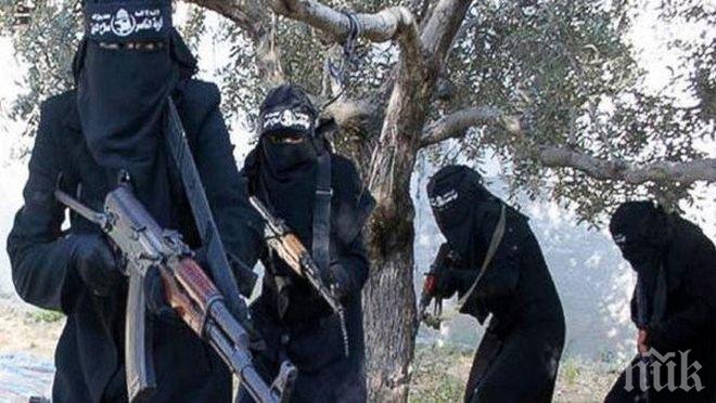 Паника! 600 бойци от Ислямска държава тръгнали към Европа след руските удари