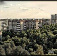 Територията около Чернобил се превърнала в резерват