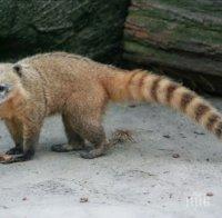 Бум на бебета в зоопарка във Варна