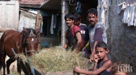 харчим млн лева ромската интеграция