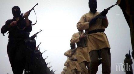 иракските шиити подкрепят ударите русия сирия