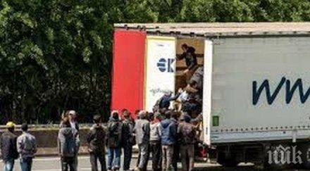 един загинал катастрофа автобус бежанци камион сърбия