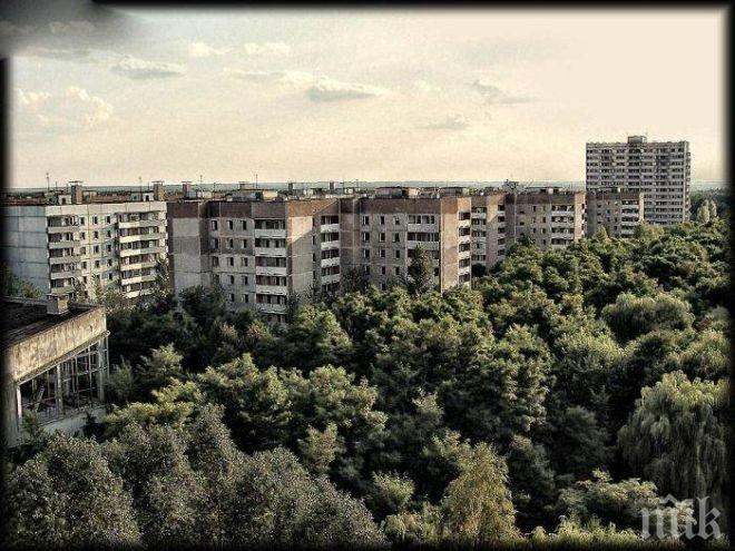 Територията около Чернобил се превърнала в резерват