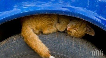 внимание наближават студени дни моля всеки види послание разпространи