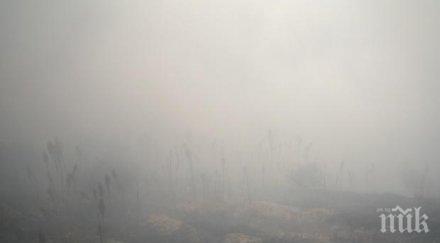 бона глоба завода хартия опаковки стамболийски заради неприятни миризми