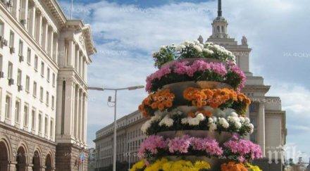 шест институции имат функции прилагането системата собствените ресурси бюджета