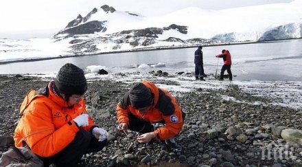 доклад американски учени напиват излагат антарктида