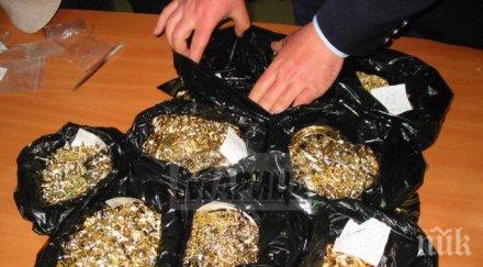 удар капитан андреево откриха злато 264 бона компресор автобус