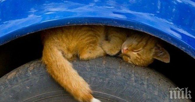 Внимание! Наближават студени дни, моля всеки да види това послание и да разпространи!!!