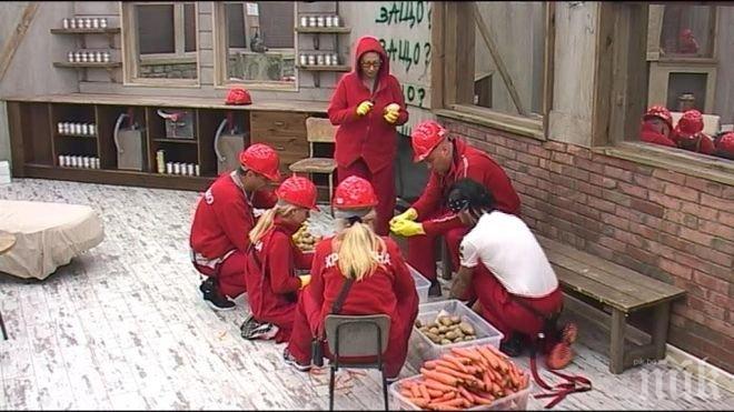 Обрат във ВИП Брадър! Победените стават победители! Изпращат червения отбор във фабрика за консерви, там ги очаква изненада!