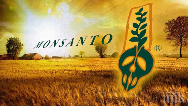 „Монсанто“ ще съкрати 2600 свои служители
