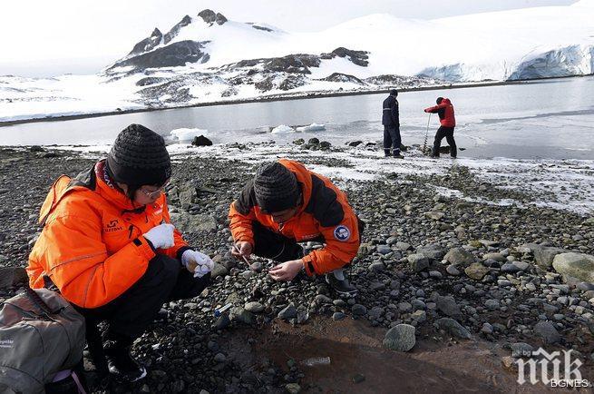  Доклад: Американски учени се напиват и излагат в Антарктида