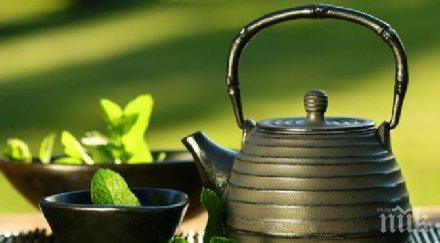 облак мента новият символ