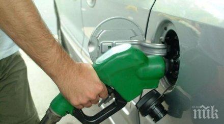 спад оборотите търговия горива август отчете нси