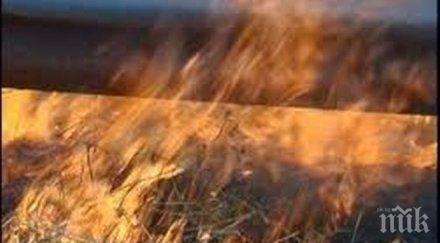 дете запалило 3000 бали сено върбица