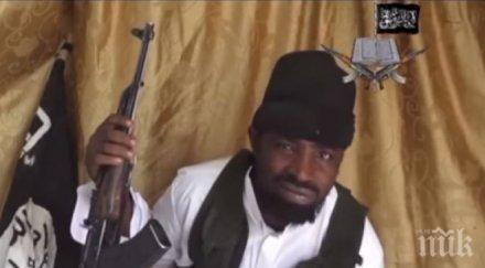 боко харам обяви видео водачът жив