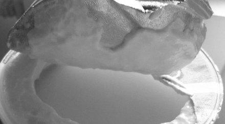 наглостта търговците мина всякакви граници сгъстяват киселото мляко гмо добавките съсипват бъбреците