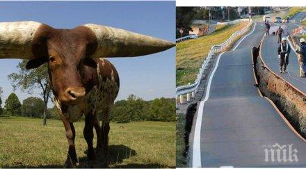 снимки повярваш реални номер остави без думи